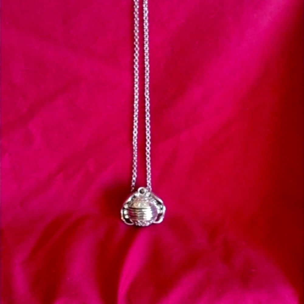 Picture locket!
